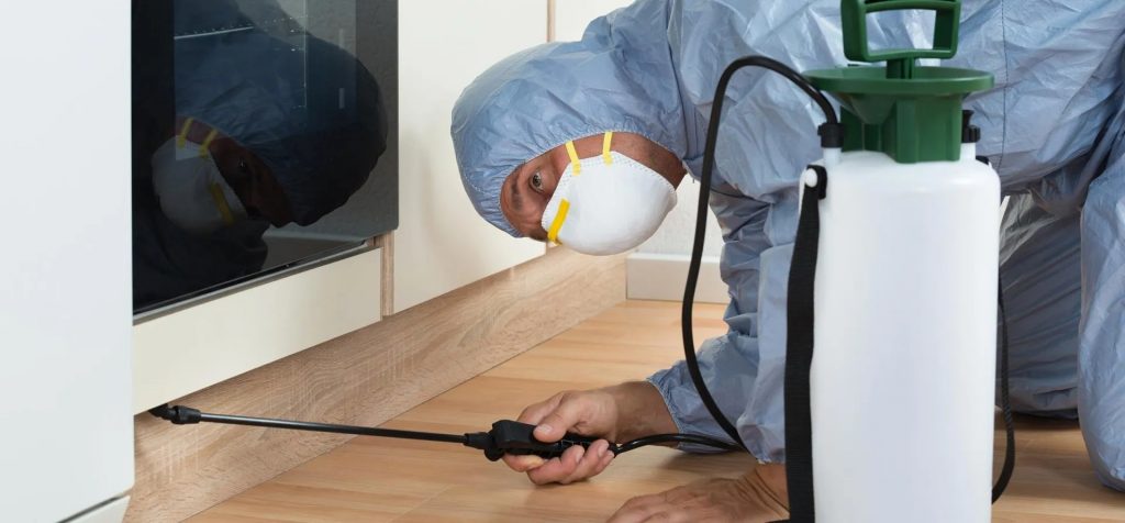 Discover The Best Pest Control Methods For Your Home