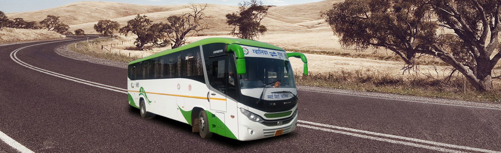 Find The Best Online Deals For Bus Tickets Today